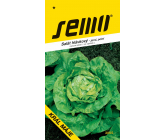 Semo Sałat główkowy Król maja - wiosenny, polowy 0,4 g