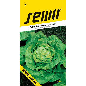 Semo Sałat główkowy Król maja - wiosenny, polowy 0,4 g Semo Sałat główkowy Król maja - wiosenny, polowy 0,4 g