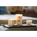Yankee Candle Sweet Nectar Blossom - Sladký květinový nektar sojová vonná svíčka Elevation střední sklo 3 knoty 347 g