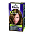 Schwarzkopf Palette 10 minut Color barva na vlasy 650 Světle zlatavě hnědá
