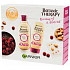 Garnier Botanic Therapy Ricinus Oil & Almond šampon pro slabé vlasy s tendencí vypadávat 250 ml + balzám na vlasy 200 ml, kosmetická sada