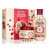 Garnier Botanic Therapy Ricinus Oil & Almond šampon pro slabé vlasy s tendencí vypadávat 400 ml + maska pro slabé vlasy s tendencí vypadávat 300 ml, kosmetická sada