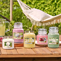Yankee Candle Camellia Blossom - Kamélie pachnąca świeczka Classic średnie szkło 411 g