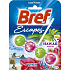 Bref Escapes Power Aktiv 4 Formula Hawaii Hibiscus WC blok pro hygienickou čistotu a svěžest Vaší toalety, zbarvuje vodu 50 g