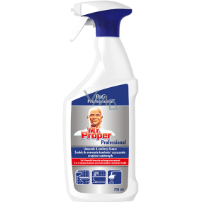 Mr. Proper Professional 2w1 usuwacz kamienia wodnego 750 ml spryskiwacz
