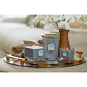 Yankee Candle Coastal Cypress - Pobřežní cypřiš sojová vonná svíčka Elevation střední sklo 3 knoty 347 g