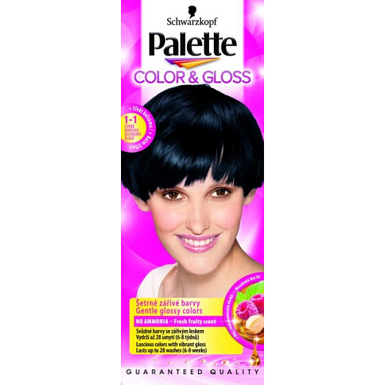 Schwarzkopf Palette Color & Gloss barva na vlasy 1 - 1 Černá borůvka