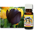 Slow-Natur Královna noci Vonný olej 10 ml