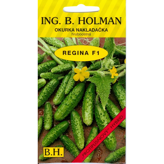 Holman F1 Regina okurky nakládačky seté 1,1 g