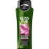 Gliss Kur Bio-Tech Restore šampon pro potřeby křehkých vlasů 250 ml