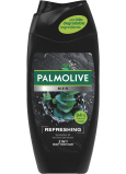 Palmolive sprchový gel a šampon Men Refreshing 3v1, 250 ml