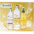 Timotei Precious Oils se vzácnými oleji šampon na vlasy 250 ml + kondicionér 200 ml + zkrášlující sprej 150 ml, kosmetická sada 2015