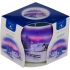Essences of Life Winter aromatická svíčka ve skle 100 g