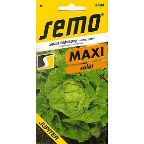 Semo Sałata głowiasta letnia, polna Jupiter 0,4 g Semo Sałata głowiasta letnia, polna Jupiter 0,4 g