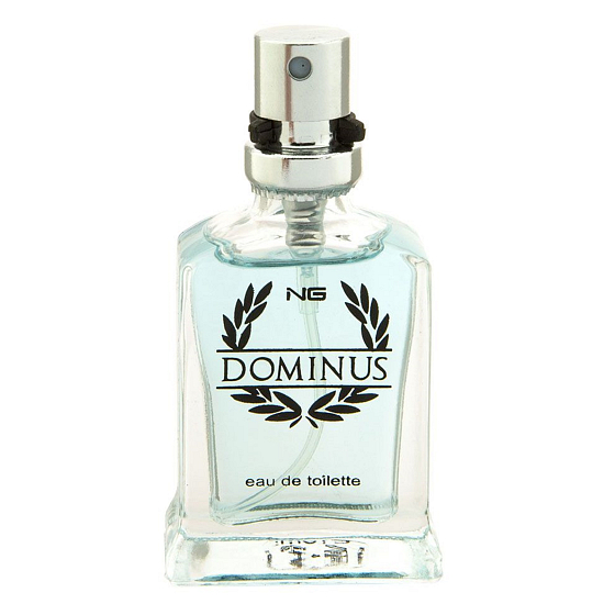 NG Dominus Men toaletní voda pro muže 15 ml