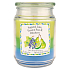Candle-lite Limetka, Hruška, Borůvka vonná svíčka ve skle 3 vůně, doba hoření 100 - 120 hodin 538 g