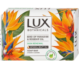 Lux Bird of Paradise & Roseship mydło w kostce 90 g