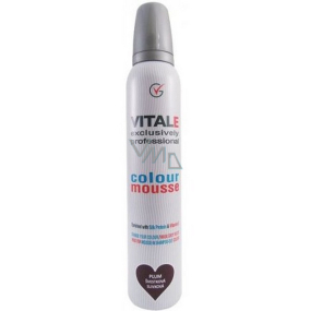 Vitale Exclusively Professional barvící pěnové tužidlo s vitaminem E Plum - Švestka 200 ml