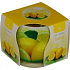 Essences of Life Lemon aromatická svíčka ve skle 100 g