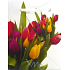 Nekupto Dárková papírová taška 14 x 11 x 6,5 cm Tulipány 1 kus 325 02