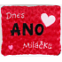 Albi Humorný polštář Dnes Ano/Ne miláčku 36 x 30 cm