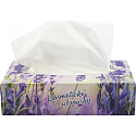 Big Soft Deluxe kosmetické papírové ubrousky 2 vrstvé v krabičce 100 kusů