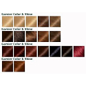 Garnier Color & Shine barva na vlasy 6.45 červeně měděná
