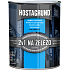 Hostagrund 2v1 S2160 podkład i nawierzchnia do metalu, 0101 szary, 600 ml