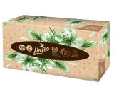 Linteo EKO chusteczki papierowe 2-warstwowe 100 sztuk pudełko