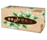 Linteo EKO chusteczki papierowe 2-warstwowe 100 sztuk pudełko