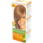 Garnier Color Naturals farba do włosów 8.1 platynowy jasny blond