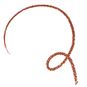Essence 8h Matte Comfort konturówka do ust 17 Must Have Brown 0,3 g