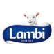 Lambi Lambi