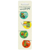 Albi Magnetyczne mini zakładki Dinozaury, średnica 3 cm 4 sztuki