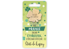 Nekupto Kapesní obiekt Czterolistka Dobří przyjaciele są jak czterolistna koniczyna, štěstí do kapsy 6 x 12 cm