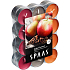 Spaas Apple Cinnamon - Jablko a skořice vonné čajové svíčky 24 kusů