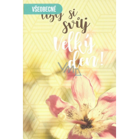 Nekupto Přání všeobecné Užij si svůj velký den! 115 x 170 mm G 46 3440 F Nekupto Přání všeobecné Užij si svůj velký den! 115 x 170 mm G 46 3440 F