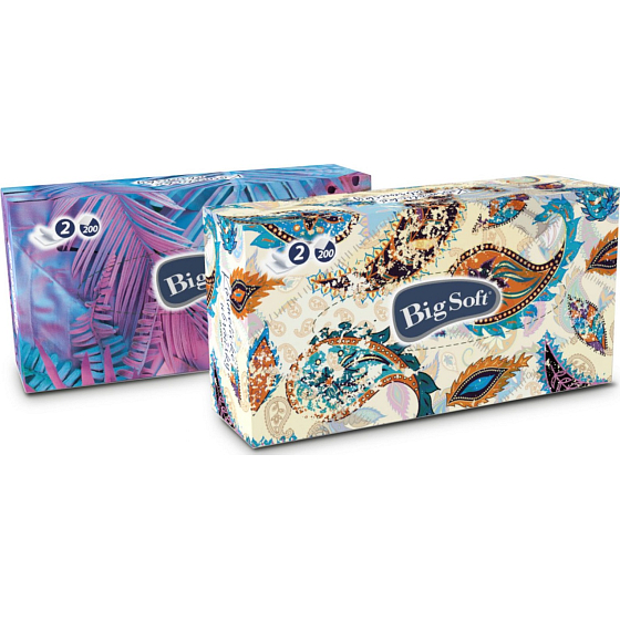 Big Soft Deluxe papírové kapesníky bílé 2 vrstvé v krabičce 200 kusů