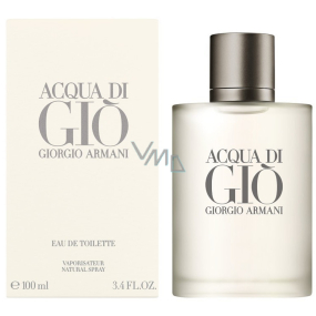 Giorgio Armani Acqua di Gio pour Homme toaletní voda pro muže 100 ml