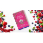 English Tea Shop Bio Super ovocný čaj 15 kusů bioodbouratelných pyramidek čaje v recyklovatelné plechové dóze 30 g