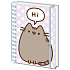 Epee Merch Pusheen Notatnik A5 15 x 21 x 2 cm