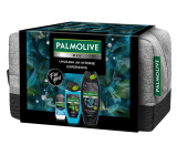 Palmolive Men Refreshing 3w1 żel pod prysznic 500 ml + Sport 3w1 żel pod prysznic 250 ml + Arctic antyperspirant dezodorant roll-on 50 ml + kosmetyczna etui, kosmetyczny zestaw dla mężczyzn