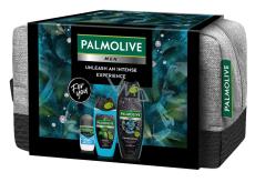 Palmolive Men Refreshing 3w1 żel pod prysznic 500 ml + Sport 3w1 żel pod prysznic 250 ml + Arctic antyperspirant dezodorant roll-on 50 ml + kosmetyczna etui, kosmetyczny zestaw dla mężczyzn