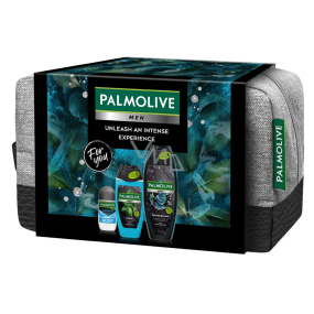 Palmolive Men Refreshing 3w1 żel pod prysznic 500 ml + Sport 3w1 żel pod prysznic 250 ml + Arctic antyperspirant dezodorant roll-on 50 ml + kosmetyczna etui, kosmetyczny zestaw dla mężczyzn