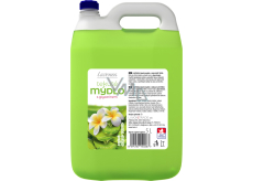 LAVON płynne mydło Do Rąk Aloesowe, 5 l