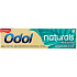 Odol Naturals Mint Clean pasta do zębów z fluorem 75 ml