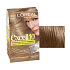 Loreal Paris Excellence 10 barva na vlasy odstín 8,0 světlá blond