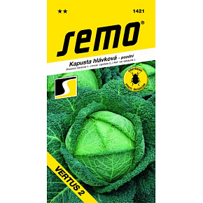 Semo Kapusta głowiasta późna Vertus 2 0,8 g