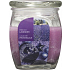 Bolsius Aromatic French Lavender - Francouzská Levandule vonná svíčka ve skle 92 x 120 mm 830 g, doba hoření 100 hodin