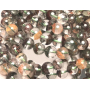 Azeztulit naturalny Kryształ ghost quartz bransoletka elastyczna naturalny kamień 8 - 9 mm / 16 - 17cm naturalny duch kryształu, wysokoczęstotliwościowa energia, kamień światła i jasności